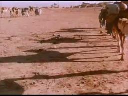 Saadia - Available Now