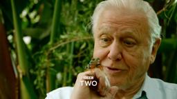 Natural World: Attenborough's Fabulous Frogs - Trailer - BBC Two
