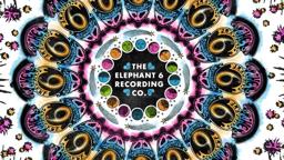 The Elephant 6 Recording Co. | Official Trailer