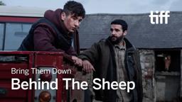 Working with Barry Keoghan & Sheep in BRING THEM DOWN | TIFF