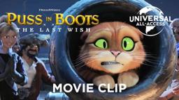 Poor 'Puss Gets Kidnapped by Pirates 🏴‍☠️