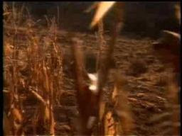 Seasons of the Heart