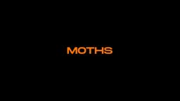 MOTHS - Trailer