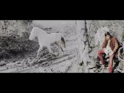 BLACK HOG GUT (excerpt)