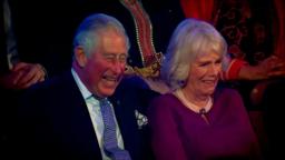 We Are Most Amused And Amazed | Tuesday 13th November at 8pm