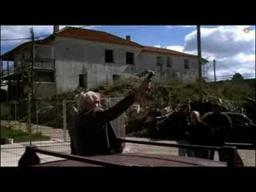 SUGAR TOWN - THE BRIDEGROOMS