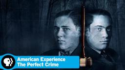 The Perfect Crime Preview