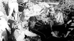 Werner Herzog film collection: Little Dieter Needs To Fly - Trailer