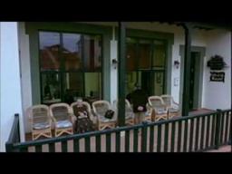 El prado de las estrellas