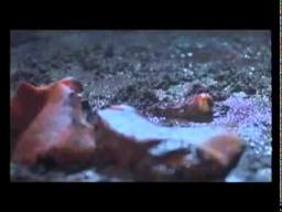 Slaughter (2009) Trailer