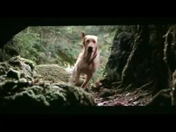 Far From Home: The Adventures of Yellow Dog (1995) theatrical trailer