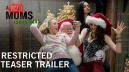 A Bad Moms Christmas | Restricted Teaser Trailer | Own it Now on Digital HD, Blu-ray™ & DVD