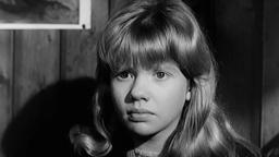 Whistle Down The Wind - Coming Soon to Talking Pictures TV