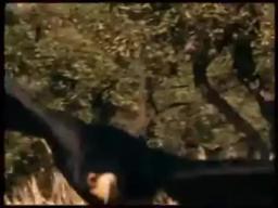 Walking with Caveman (trailer)