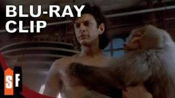 The Fly Collection - The Fly (1986) - Clip: Successful Teleportation (HD)