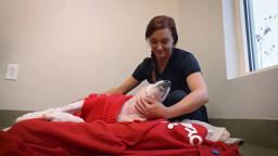 OLD FRIENDS A DOGUMENTARY - Trailer 2022