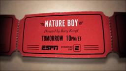 "30 for 30: The Nature Boy" provides personal insight into the career of Ric Flair