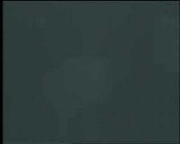 Invisible Circus Trailer