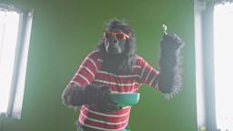 Sylvio - Official Trailer