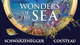 Wonders Of The Sea - Official Trailer