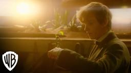 Creatures: Bowtruckle