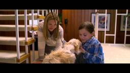 Official UK 20" Trailer