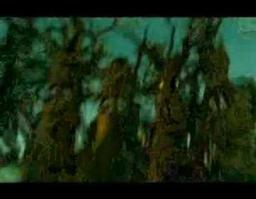 Tripping the Rift Movie Trailer