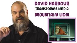 Why Is This Lion Locked Up Alone? | Inside the Night of the Zoopocalypse with Dan Harbour