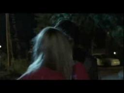 Swedish Auto Trailer