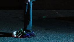 The Man Who Loved Flowers (Thomas Magnuson) 2015 - Trailer