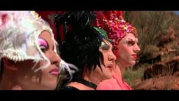 Between a Frock and a Hard Place, Jungleboys FTV