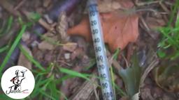 Trailer: The Fix - (Distributed by Janson Media)