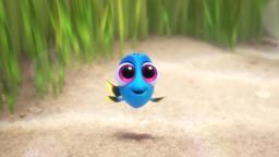 Baby Dory