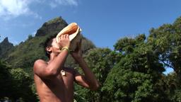 SEEDS OF HOPE TRAILER.m4v