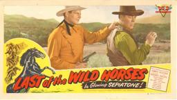 Last of the Wild Horses