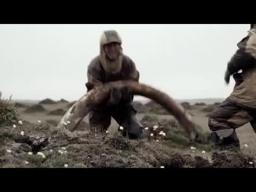 Genesis 2.0 - Trailer