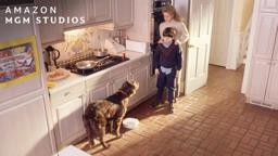 Fluke Finds His Old Family