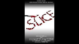 My first short film that i directed as well as Produced. Slice Final Cut 1