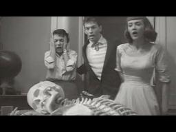 Joe Dante  on TEENAGERS FROM OUTER SPACE