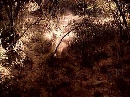 Black Bunch - Trailer