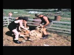 03 The Dagg Sea Scrolls