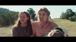 Hostiles - Country Review