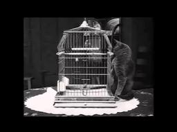 A Little Hero (1913)