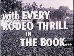 Born Reckless movie trailer