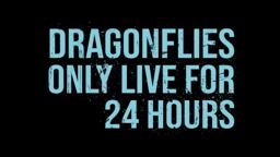 Dragonflies only live for 24 hours (2018) Full Trailer