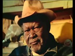 Heartworn Highways. Townes Van Zandt.