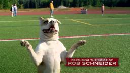 PUPS UNITED Official Trailer (2015) - Rob Schneider