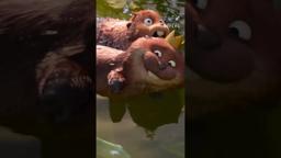 POV: You're the Personality Hire