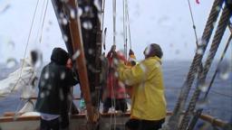 Papa Mau: The Wayfinder (TRAILER)