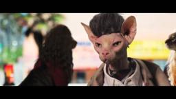 Seven PsychoCATS Trailer HD
